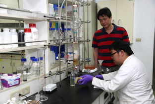 嘉大研究团队研发高效能太阳能电池登上国际期刊，引领新兴能源技术研发新浪潮